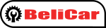 servis CAN-AM